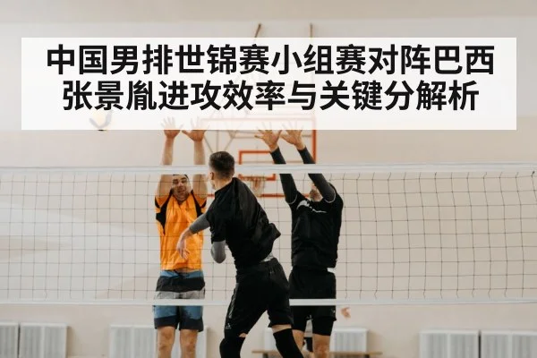 volleyball net block